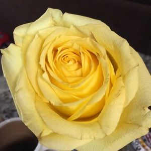 Meet your Posher, Jan